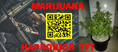 PSILOCYBIN Можга