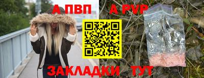 PSILOCYBIN Можга